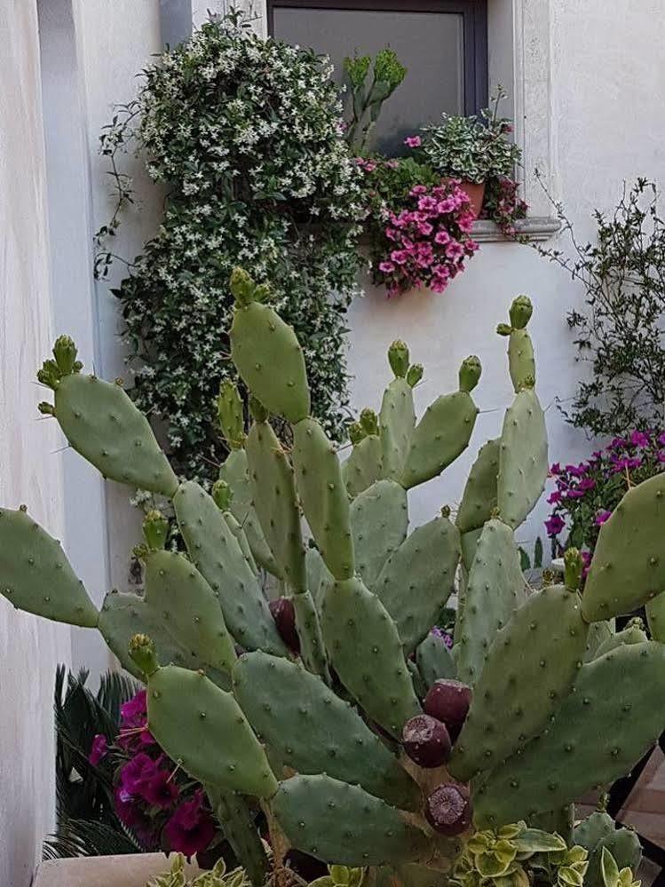 Palazzo Volta Boutique Luxury B&B Nardò Kültér fotó